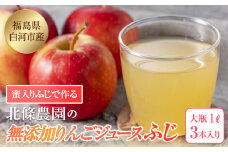ご愛顧感謝！北條農園の無添加りんごジュース〈ふじ〉大瓶3本入り　1L F21R-110