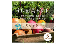 都内マルシェで人気のお野菜！ 《先行予約》春夏 旬の野菜セットSサイズ(6品前後) F21R-213
