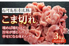 白河高原清流豚 こま切れ 3kg（パック小分け） F21R-230
