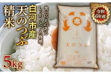 令和6年産米 白河市産天のつぶ精米5kg 米 お米 コメ ごはん ご飯 食品 F23R-972