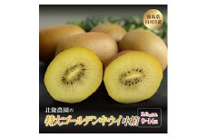 特大ゴールデンキウイ 中箱 2.6kg以上 9～14玉 F21R-104