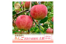 訳あり りんご 有機肥料 低農薬栽培 家庭用 大箱 4.3kg 12～18玉 福島県 白河市 リンゴ りんご リンゴ 林檎 果物 くだもの フルーツ 福島県 白河市 F21R-109