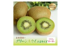 北條農園のグリーンキウイ 小玉サイズ 約3.3kg 25～40玉 キウイ キウイフルーツ国産 福島県 白河市 F21R-113