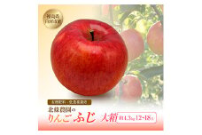北條農園のりんご【ふじ】 大箱 4.3kg 12~18玉 F21R-115