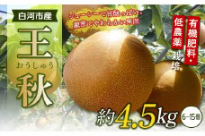 有機肥料・低農薬栽培の梨「王秋」約4.5kg（6～15個） F21R-568