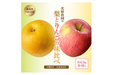北條農園 有機肥料 低農薬栽培の【梨とりんごの味比べ】約4.5kg 8~16玉 なし ナシ 梨 リンゴ りんご 福島県 白河市 F21R-114