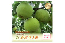 北條農園 有機肥料 低農薬栽培 梨＜かおり＞大箱 約4.5kg 6~16玉 なし ナシ 福島県 白河市 F21R-118