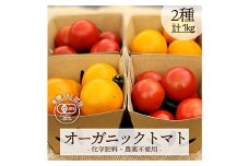 都内マルシェで人気のお野菜！ 《化学肥料・農薬不使用》こだわりトマトの食べ比べセット2種セット 1kg F21R-798