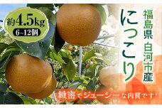 有機肥料 低農薬栽培の梨 にっこり 約4.5kg F21R-802