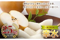 《2025年秋出荷》一番人気の梨 幸水 2.5kg（5～8玉） F21R-852