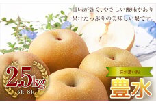 《2025年秋出荷》味が濃い梨 豊水2.5kg（5～8玉） F21R-854