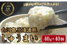 「白河高原清流豚」をメイン食材としたしゅうまい 1個 40gとボリューム感のある一品（40個入り） F21R-869