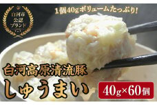 「白河高原清流豚」をメイン食材としたしゅうまい 1個 40gとボリューム感のある一品（60個入り） F21R-870