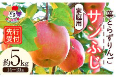 ＜先行予約＞家庭用 葉とらずりんご サンふじ 約5kg（14～20玉） F21R-879