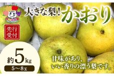 ＜先行予約＞大きな梨 かおり 約5kg（5～8玉） 梨 なし ナシ 梨 デザート フルーツ 果物 くだもの 果実 食品 F23R-941