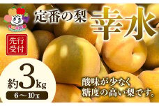 ＜先行予約＞定番の梨 幸水 約3kg（6～10玉） F21R-882