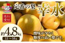 ＜先行予約＞定番の梨 幸水 約4.8kg（12～16玉） F21R-883