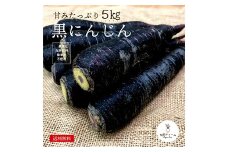 都内マルシェで人気のお野菜！ 〈有機JAS認証〉黒にんじん 5kg F21R-194