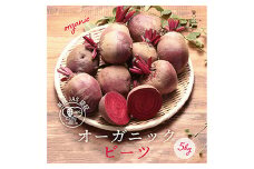 都内マルシェで人気のお野菜！ 〈有機JAS認証〉オーガニック ビーツ 5kg F21R-189