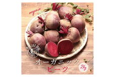 都内マルシェで人気のお野菜！ 〈有機JAS認証〉オーガニック ビーツ 2kg F21R-190