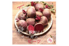 〈有機JAS認証〉オーガニック ビーツ 5kg 訳あり F21R-191