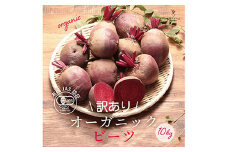 〈有機JAS認証〉オーガニック ビーツ 10kg 訳あり F21R-192