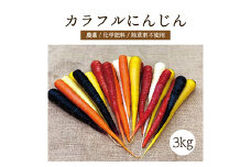 都内マルシェで人気のお野菜！ 〈有機JAS認証〉カラフルにんじん 3kg F21R-197