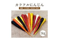 都内マルシェで人気のお野菜！ 〈有機JAS認証〉カラフルにんじん 5kg F21R-198
