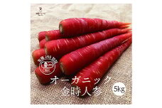 都内マルシェで人気のお野菜！ 〈有機JAS認証〉金時にんじん 5kg F21R-200