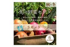 都内マルシェで人気のお野菜！ 秋冬 旬の野菜セットSサイズ(6品前後) F21R-211