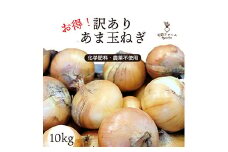 甘玉ねぎ 10kg 訳あり F21R-205