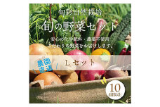 春夏 旬の野菜セットLサイズ(11品前後) F21R-215
