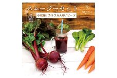 都内マルシェで人気のお野菜！ 甘みたっぷり新鮮スムージーセット 1.7kg F21R-210