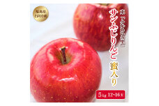 東「ふれあいの里」のサンふじ りんご 蜜入り 5kg（12~16玉） F21R-081