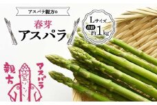 《先行予約》アスパラ親方の春芽アスパラ Lサイズ 合計約1kg F23R-614
