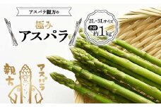 《先行予約》アスパラ親方の極みアスパラ 2L～3Lサイズ 合計約1kg F23R-618