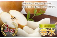 《2025年秋出荷》一番人気の梨 幸水 3kg （6～9玉） F23R-631