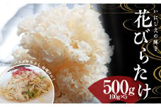 いにしえの輝き花びらたけ 500g（100g×5パック） F23R-613