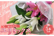 母の日ギフト用ユリミックス　5本花束（合計15～20輪） 植物 フラワー 花 F23R-788