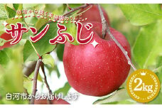 明治から続く果樹園のりんご「サンふじ」2kg（5～8玉） りんご リンゴ 林檎 果物 くだもの フルーツ 福島県 白河市 F23R-811