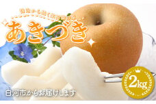 明治から続く果樹園の梨「あきづき」2kg（5～7玉） なし 果物 くだもの デザート ギフト ナシ 甘い フルーツ 福島県 白河市 F23R-817