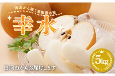 明治から続く果樹園の梨「幸水」5kg（12～16玉） なし 果物 くだもの デザート ギフト ナシ 甘い フルーツ 福島県 白河市 F23R-822