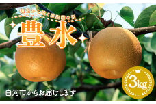 明治から続く果樹園の梨「豊水」3kg（8～13玉） なし 果物 くだもの デザート ギフト ナシ 甘い フルーツ 福島県 白河市 F23R-824