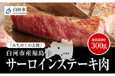 【白河市産福島牛】サーロイン ステーキ用 300g F23R-845