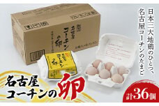 名古屋コーチンの卵 36個 卵 生卵 名古屋コーチン 桜吹雪 新鮮 石井養鶏場  F23R-878