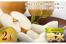 ＜2025年秋出荷＞一番人気の梨 幸水 2玉 F23R-932
