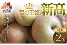 ＜先行予約＞梨の王様 新高 特大2玉 梨 なし ナシ 梨 デザート フルーツ 果物 くだもの 果実 食品 F23R-945