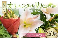ユリ専門＜深花園＞観賞用ゆり オリエンタルリリー ＜ピンク・お祝い＞ 蕾20輪以上 F23R-962