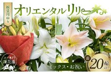 ユリ専門＜深花園＞観賞用ゆり オリエンタルリリー ＜ミックス・お祝い＞ 蕾20輪以上 F23R-965