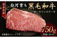 福島県産 白河育ち黒毛和牛 サーロインステーキ750g F24R-083